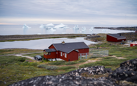 Why small things matter in Greenland