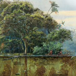 Illustration of the Igapó Forest in the Amazon