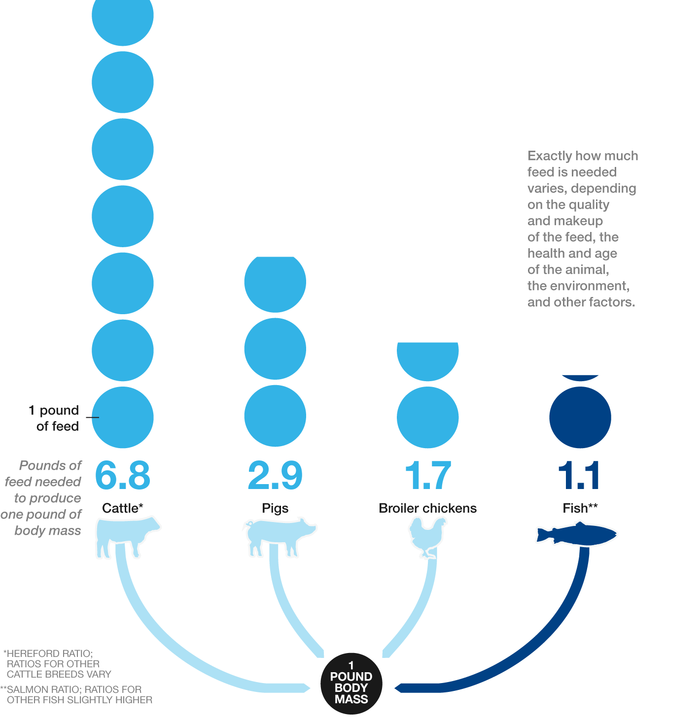 Graphic of the feed conversion ratio of cattle, pigs, chickens, and fish