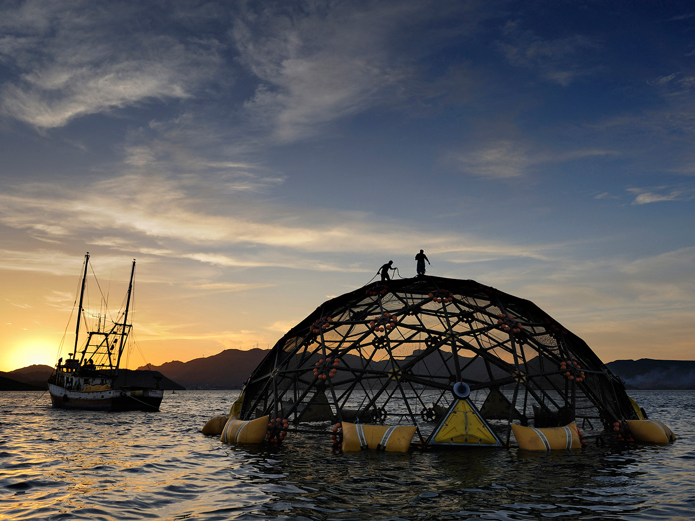 Picture of a shrimp cage in the Gulf of California