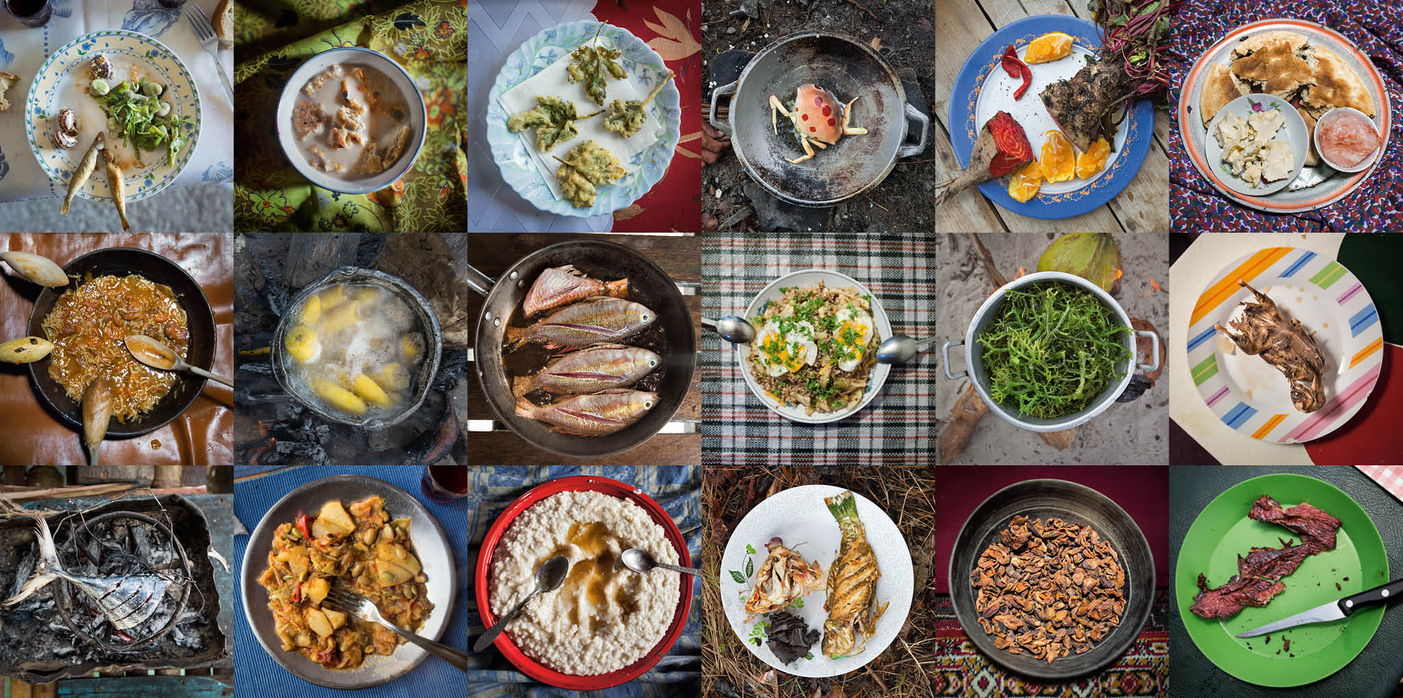 Photos of plates from around the world