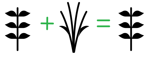 Graphic of genetic modification