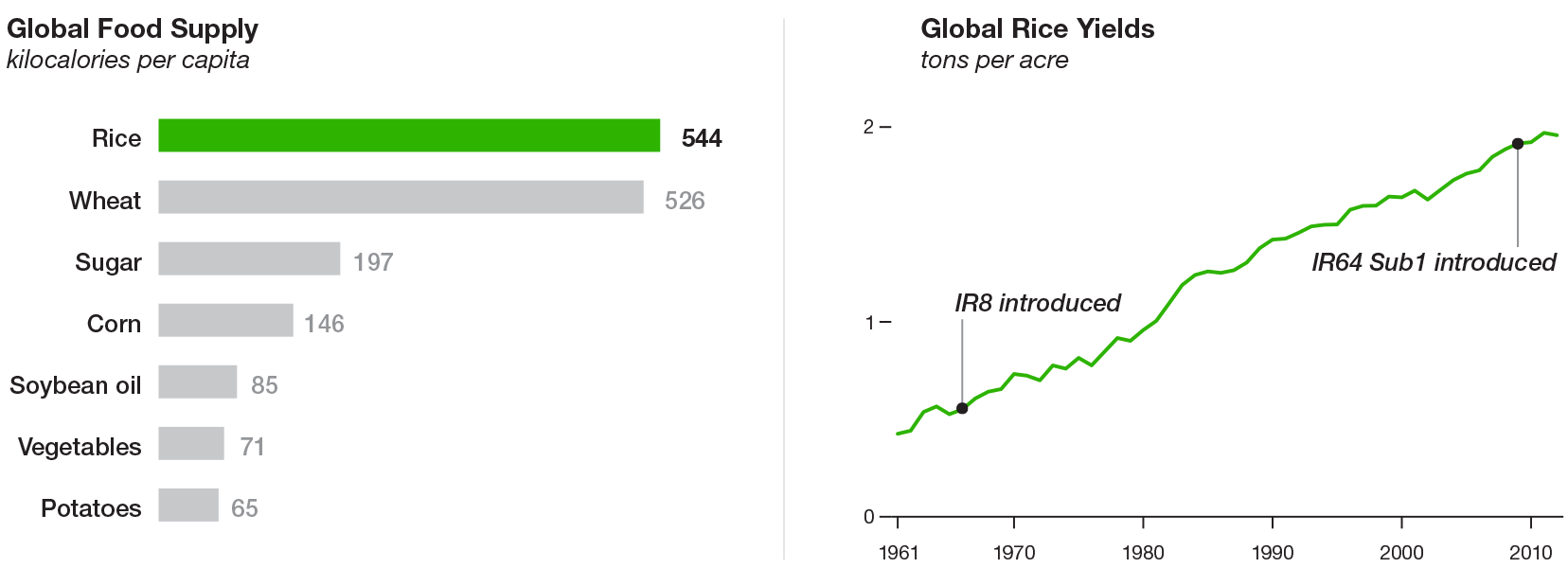 Graphic of global food supply and global rice yields