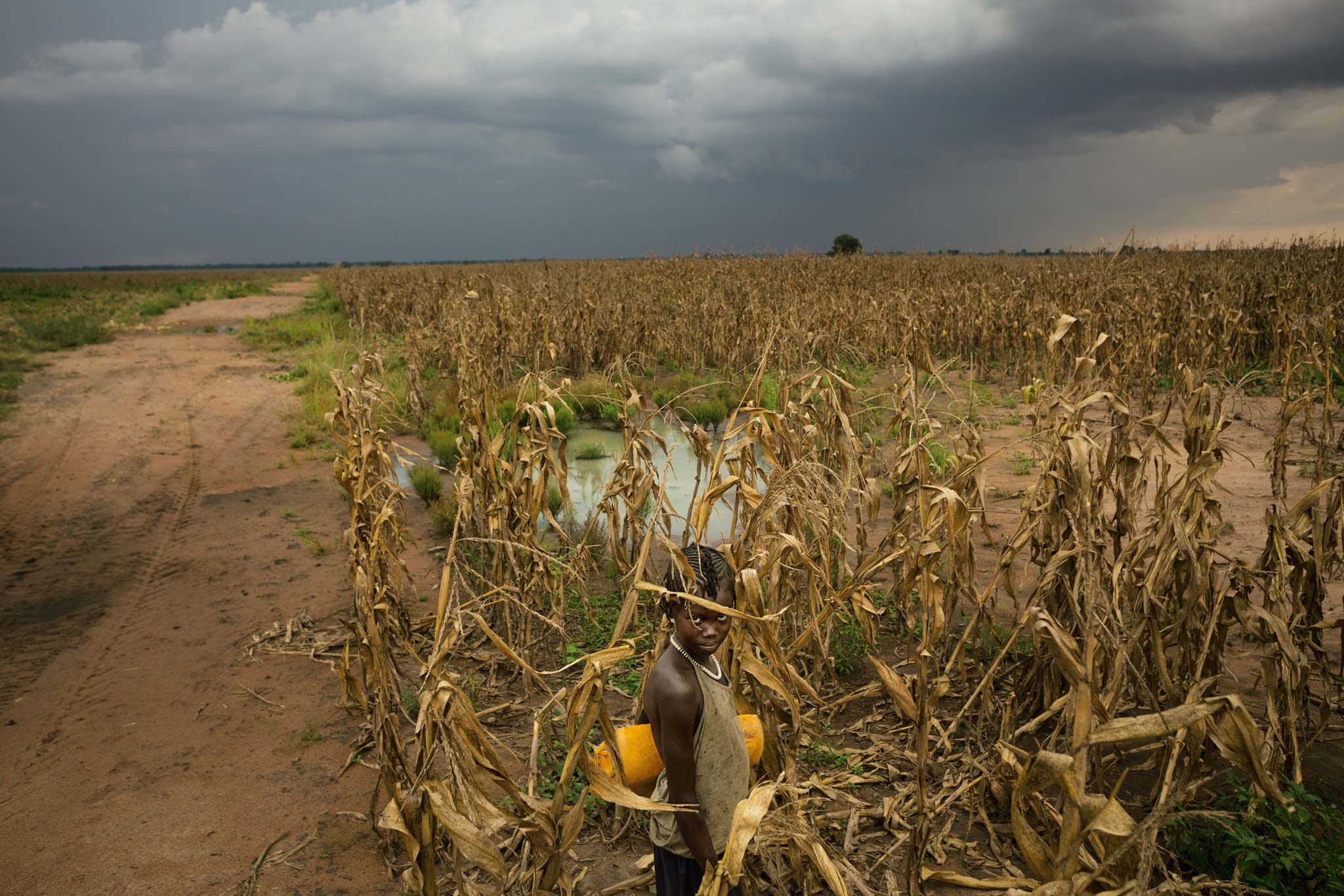 Picture of Ajiem Ogalla scavenging in Ethiopia