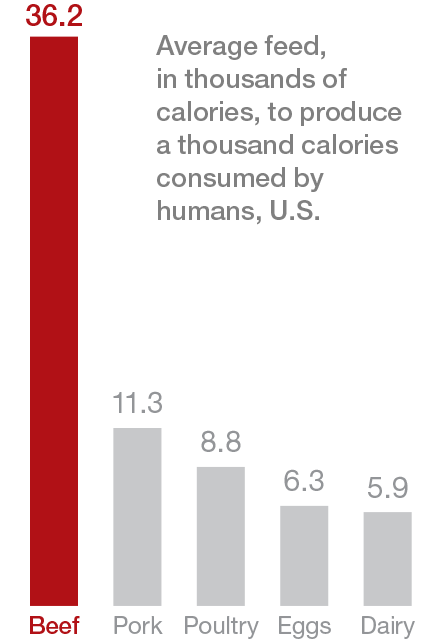 Graphic of feed use