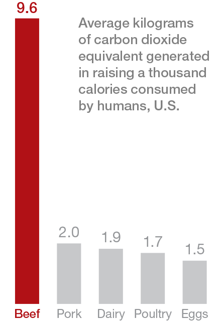 Graphic of emissions